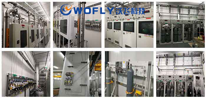 特气系统工程案例